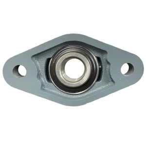 Two-bolt flange bearing unit with silver housing and central steel bearing