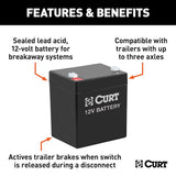 CURT 52023 12V Trailer Breakaway System Battery